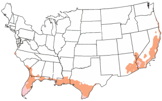 Hardiness Zone Map